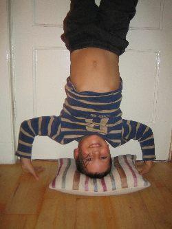 Life from a different point of view