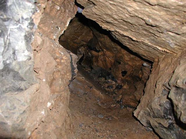 Digging the night away